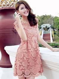 Junoesque Graceful Princess Style Lace Embroidery Hollow Out Round Neck ...