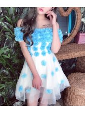 New Boat Neck Floral Lace Babydoll Dress