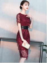 Fashion Fitted Solid Tassel Sequined Boutique Party Dress