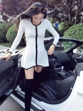 Sexy Crew Neck Fitted Long Sleeve Mini Dress