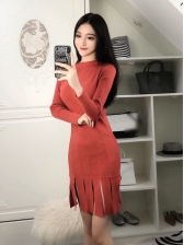 Chic Tassels Crew Neck Fitted Knitted Dress