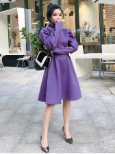 Simple Design Puff Sleeve High Neck Solid Dresses