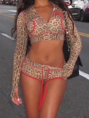 Leopard Cropped Zipper Hooded Short Sets