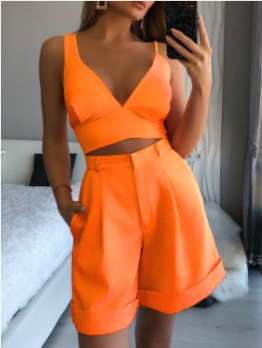  Sleeveless V Neck Solid Two Piece Short Sets