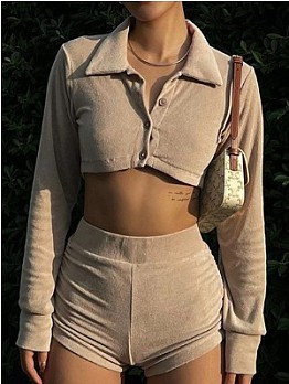 Casual Pure Color Turndown Collar Long Sleeve Crop Top And Shorts Sets