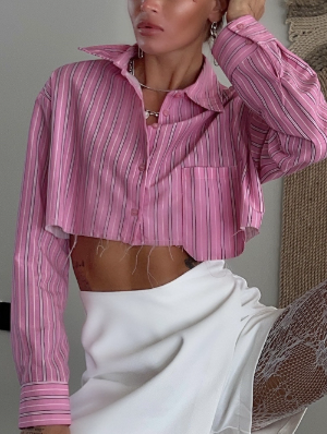 Striped Long Sleeve Cropped Blouses