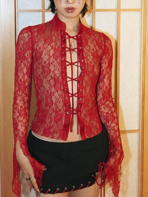 Lace Perspective Tie-wrap Cropped Tops