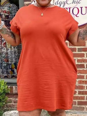 Plus Size Crewneck Short Sleeve Straight Short Sleeve Dress