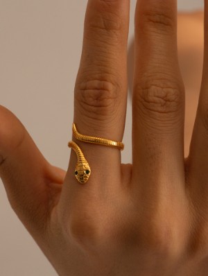 Irregular Pattern Stainless Steel Annular Ring