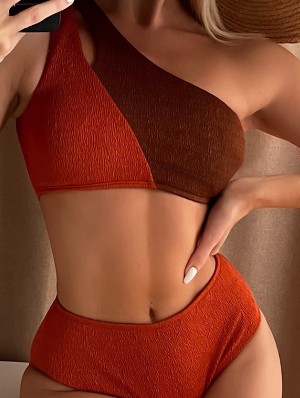 Colorblock One-shoulder Fitted Bikinis