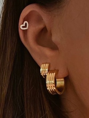 Geometric Stainless Steel Annular Earrings