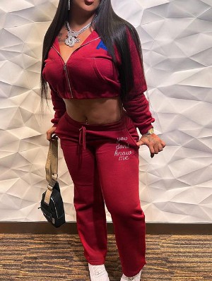 Embroidery Pocket Hooded Sweatpants Set