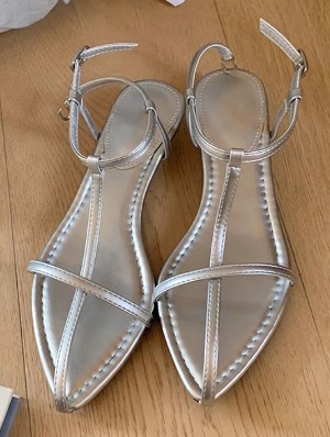 Metallic Ankle Strap Pointed Wedge Sandals