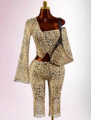 Asymmetrical Leopard Sheer Capri Pants Sets