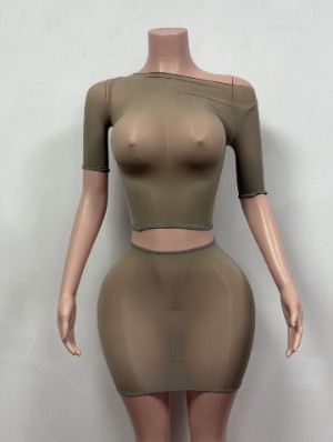Sheer Inclined Shoulder Cropped Skirt Sets