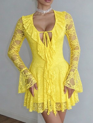 Lace Panel Tie-wrap Ruffle Sheer Mini Dress