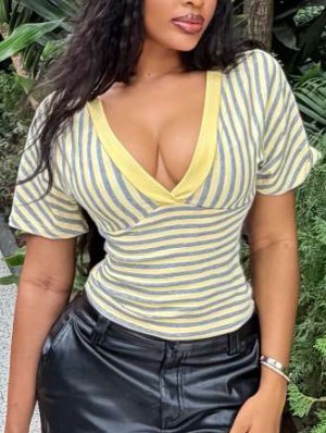 Contrast Striped V Neck Cropped Tops
