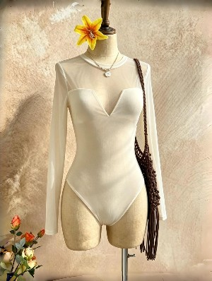 Chic Sheer Mesh V Neck Long Sleeve Bodysuit Top