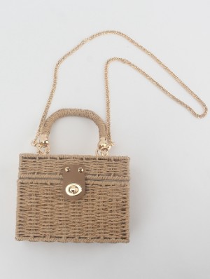 Straw Metal Buckle Square Woven Satchels