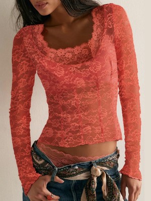 Pure Transparent Crewneck Cropped T-shirts