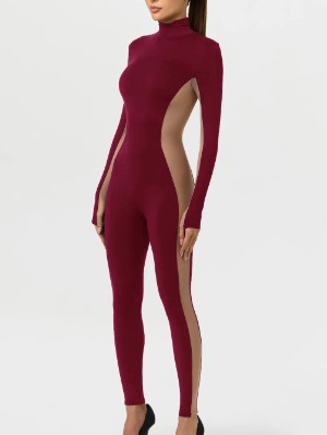 Mock Neck Gauze Sheer Fitted Jumpsuits