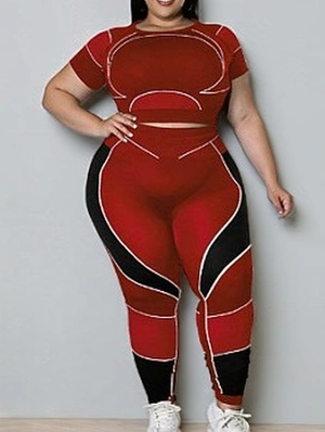Colorblock Cropped Fitted High Rise Pants Sets