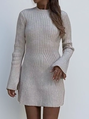 Knitting Ribbed Long Sleeves Mini Dress