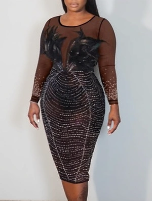 Feather Rhinestones Sheer Midi Dress