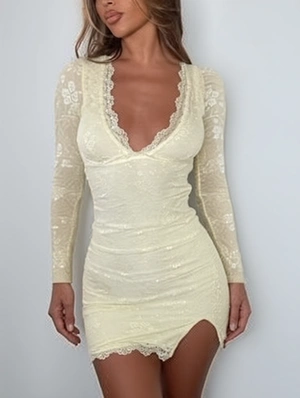 V Neck Lace Detail Bodycon Long Sleeve Mini Dress
