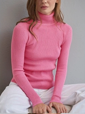 Plain Color Turtleneck Bodycon Pullover Sweater