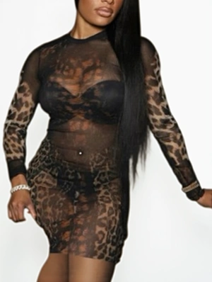 Colorblock Sheer Leopard Print Mini Dress