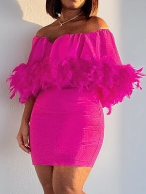 Feathers Off Shoulder Fitted Mini Dress