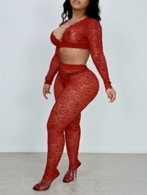 Sheer Lace V Neck Cropped Bodycon Pant Sets