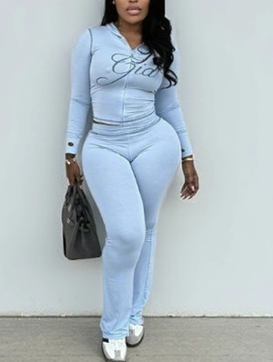 Colorblock Seam Line Hooded Skinny Pant Sets