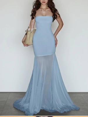 Strapless Pure Color Sheer Maxi Dress