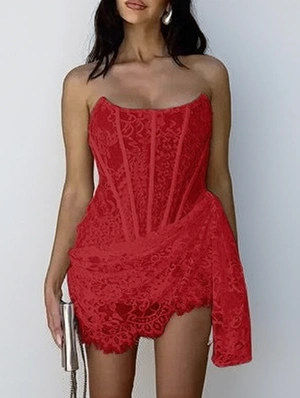 Lace Panel Strapless Ribbons Mini Dress