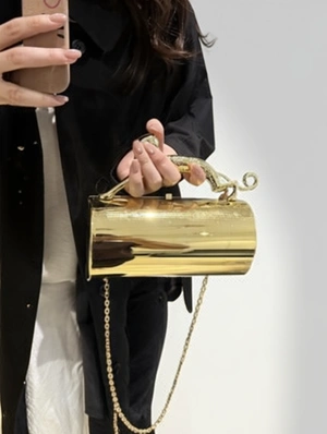 Chain Metal Decor Magnetic Closure Satchels