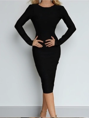 Pure Color Bodycon Zipper Long Sleeve Dress