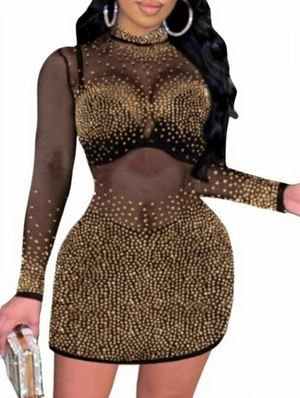 Rhinestones See Through Fitted Mini Dress