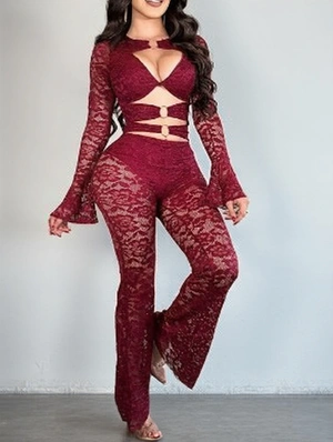 Lace Panel Hollow-out Sheer Jumpsuits