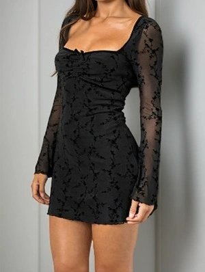 Jacquard Weave Sheer Elegant Long Sleeve Dress