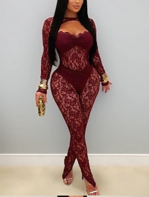 Hollow-out Lace Detail Sheer Jumpsuits