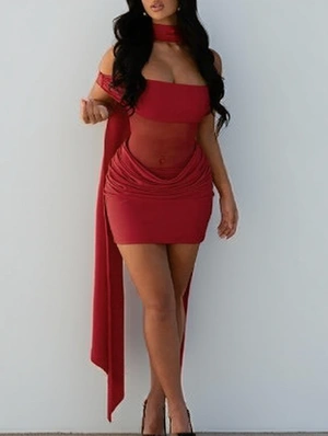 Ruched Sheer Ribbons Mini Dress