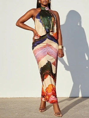 Colorblock Halter Backless Fitted Maxi Dress