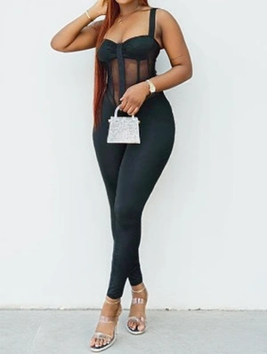 See Through Sleeveless Fitted Jumpsuits