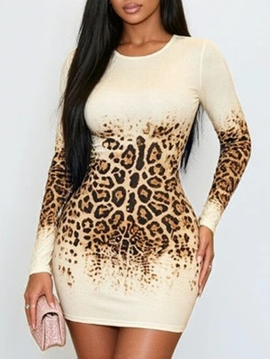 Leopard Gradient Long Sleeve Mini Dress