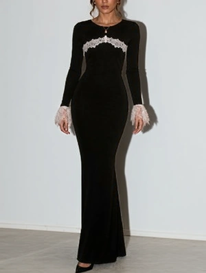 Lace Panel Long Sleeve Fitted Maxi Dress