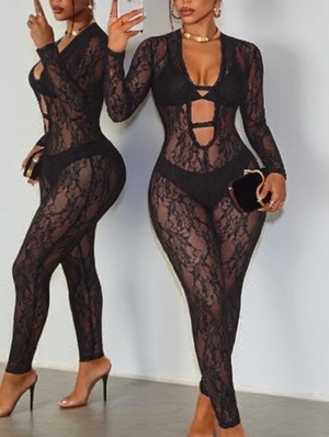 Lace Panel Deep V Neck Sheer Jumpsuits
