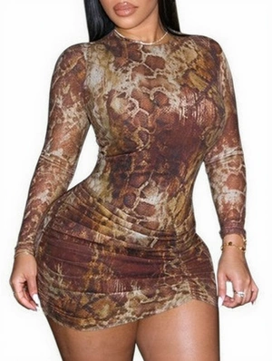 Snake Print Long Sleeve Ruched Mini Dress